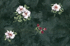 bloemen-988