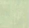licht-groen-26