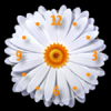 Flower Flash Clock