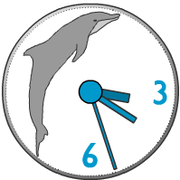 Dolphin - dolphin