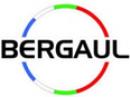 Bergaul